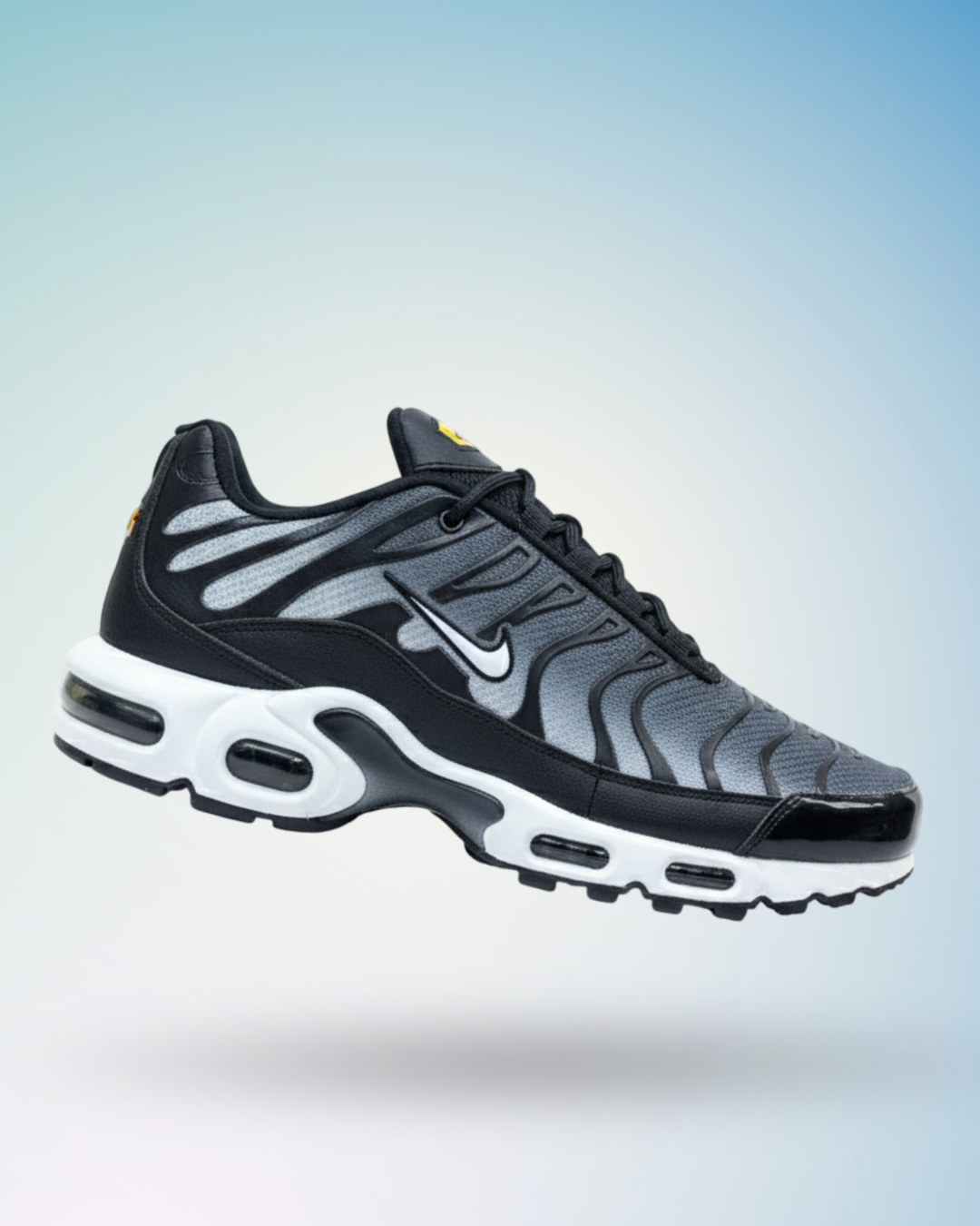 Zapatilla Nike Air Max Plus, tallas del 39 al 43