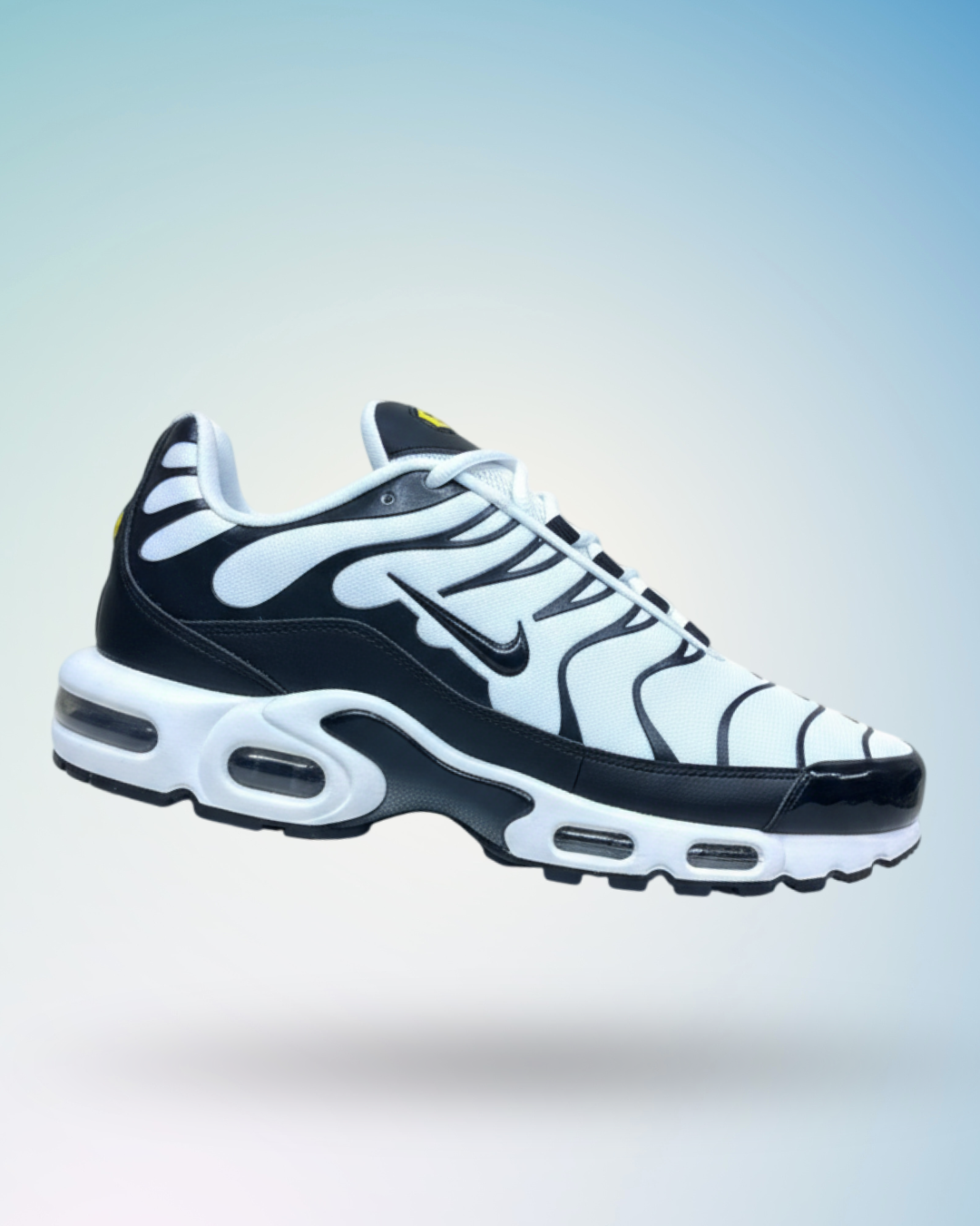 Zapatilla Nike Air Max Plus, tallas del 39 al 43