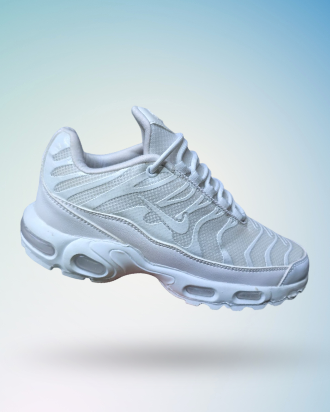 Zapatilla Nike Air Max Plus, tallas del 39 al 43