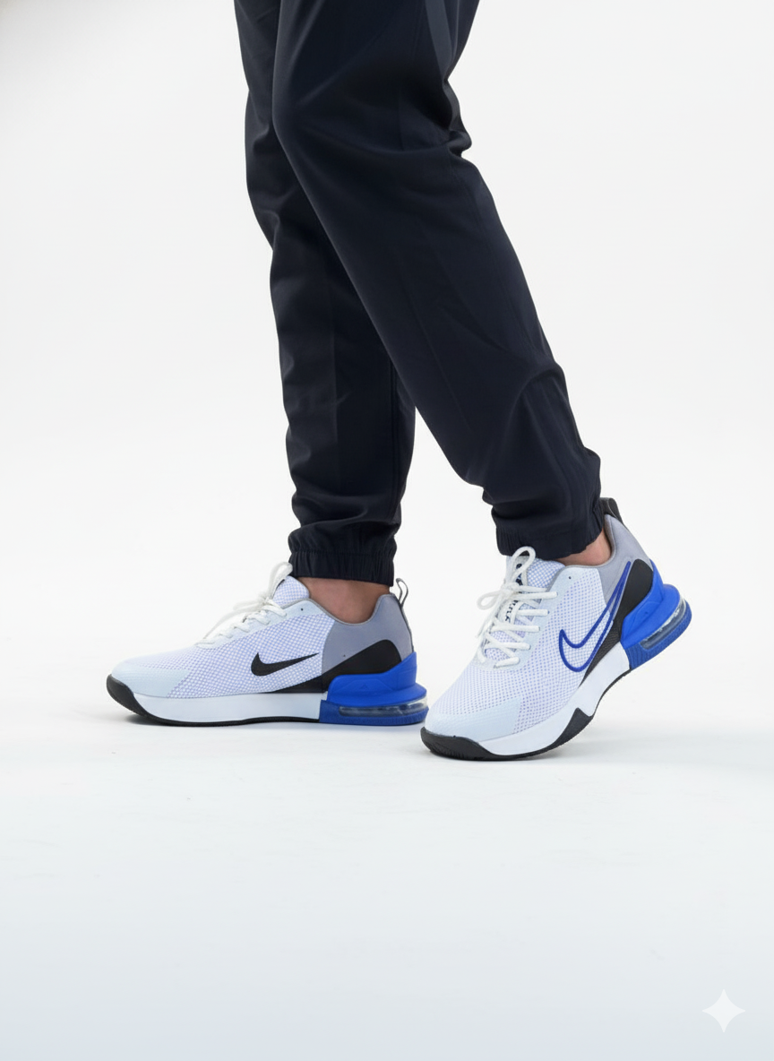 Zapatilla Nike Air Max Alpha Trainer 6 c3, tallas del 39 al 43